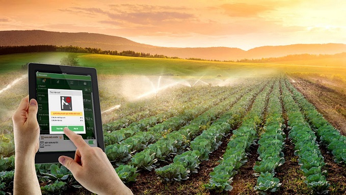 DMS solution changes the way in agricultural management